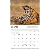 World Wildlife Fund Tigers 2027 Wall Calendar