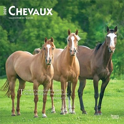 Chevaux 2027 Wall Calendar (French)