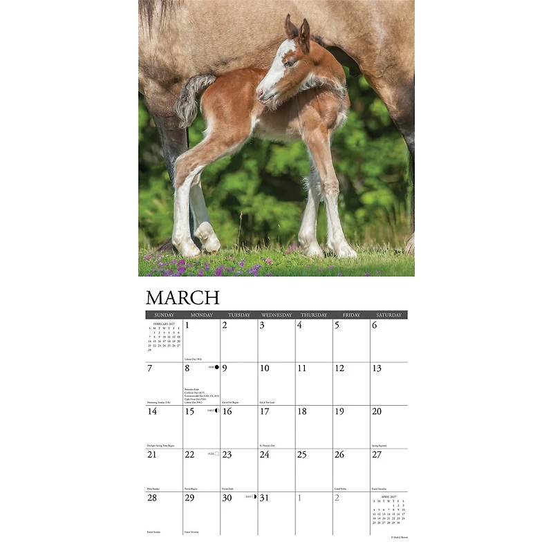 Clydesdales 2027 Wall Calendar