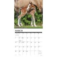 Clydesdales 2027 Wall Calendar