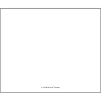Cartoons From The New Yorker 2026 Box Calendar