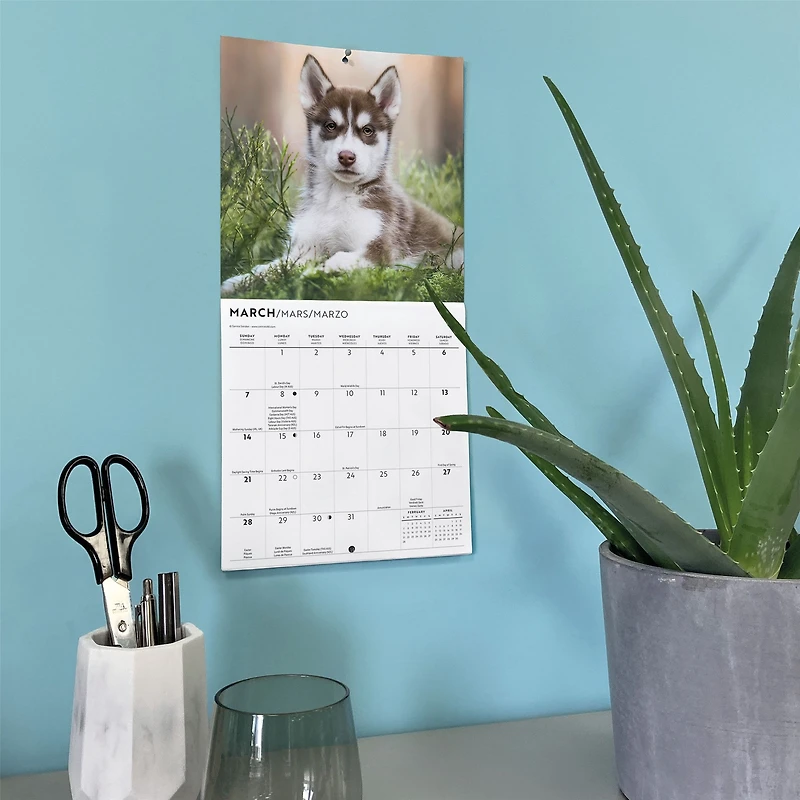Siberian Husky Puppies 2027 Mini Calendar
