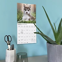 Siberian Husky Puppies 2027 Mini Calendar