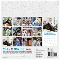 Cats And Books 2026 Wall Calendar