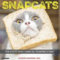 Snapcats 2027 Wall Calendar