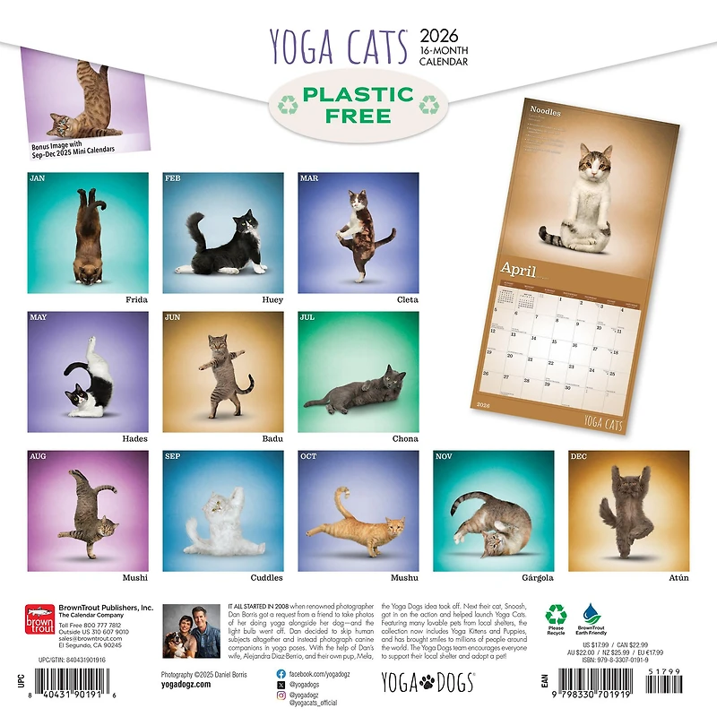 Yoga Cats 2026 Wall Calendar