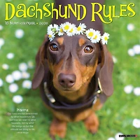 Dachshund Rules 2026 Wall Calendar