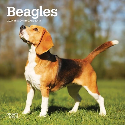 Beagles 2027 Mini Calendar