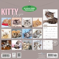 Kitty Naps 2027 Wall Calendar