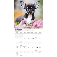 Chihuahua Puppies 2027 Mini Calendar