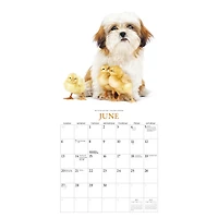 Puppies and Friends 2027 Mini Calendar