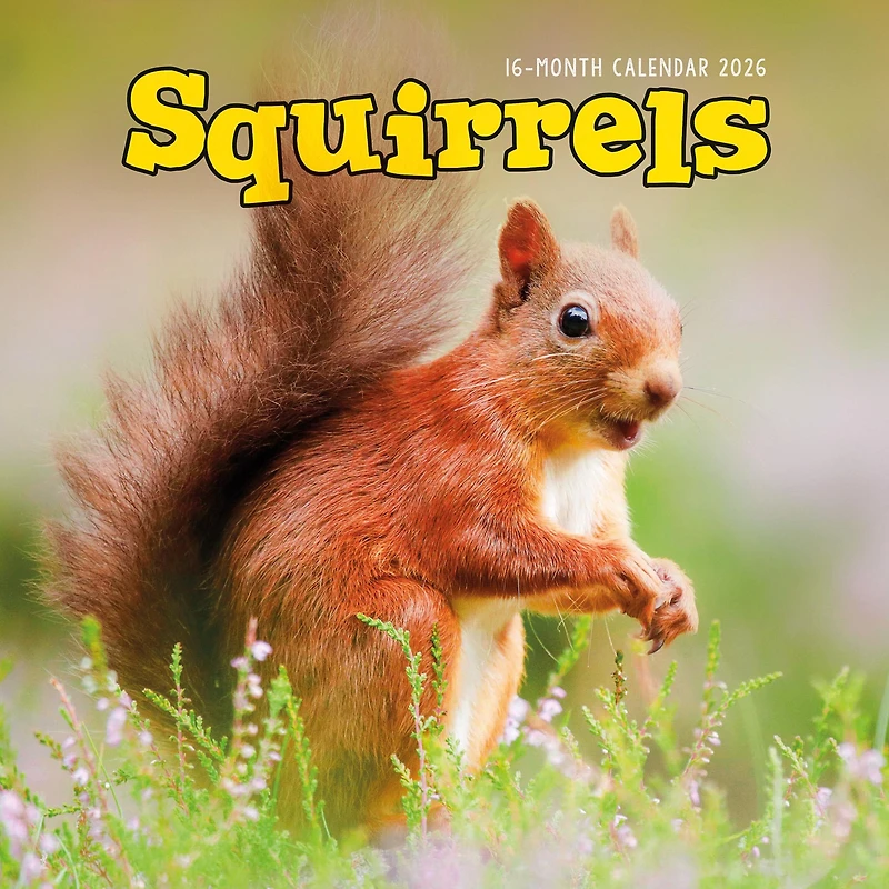 Squirrels 2026 Wall Calendar