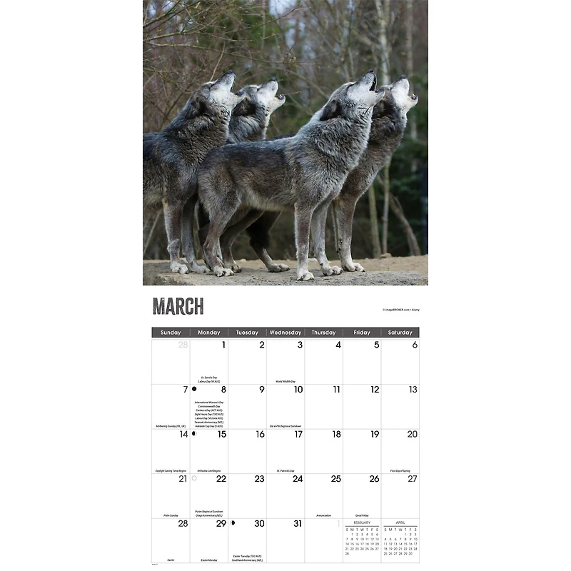 Wolves 2027 Wall Calendar