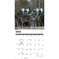 Wolves 2027 Wall Calendar