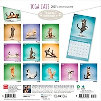Yoga Cats 2027 Wall Calendar