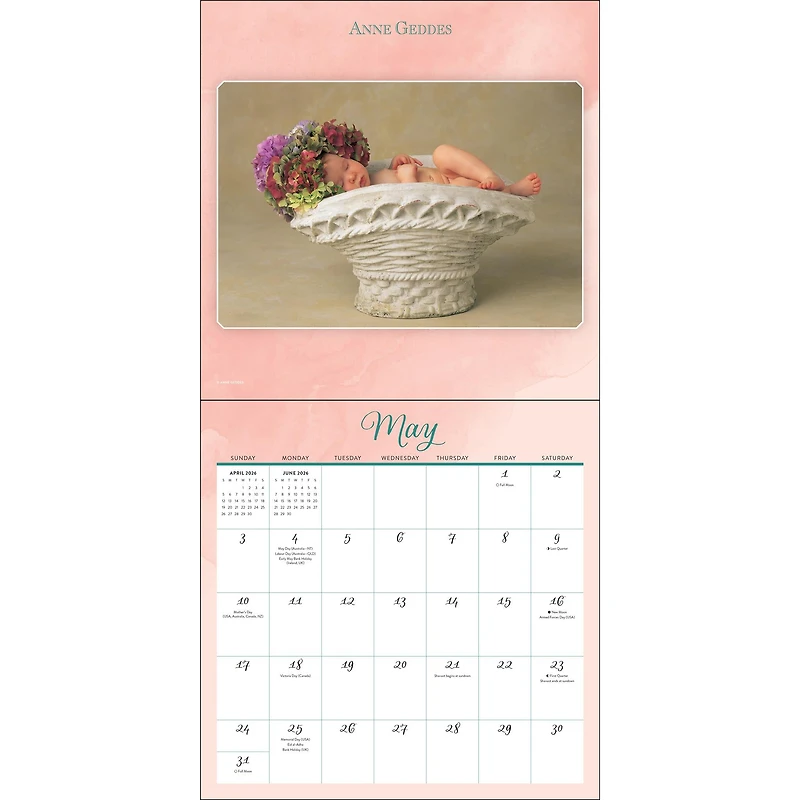 Anne Geddes 2026 Wall Calendar
