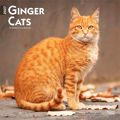 Ginger Cats 2027 Wall Calendar