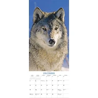 Wolves 2027 Poster Calendar