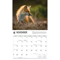 World Wildlife Fund Foxes 2027 Wall Calendar