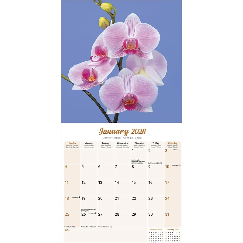 Orchids 2026 Wall Calendar
