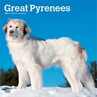 Great Pyrenees 2027 Wall Calendar