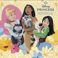 Disney Princess 2027 Wall Calendar