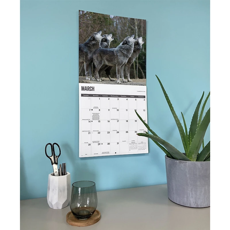 Wolves 2027 Wall Calendar