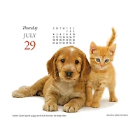 Puppies and Friends 2027 Box Calendar