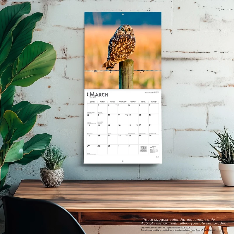 Owls 2026 Wall Calendar - Online Only