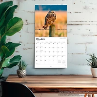 Owls 2026 Wall Calendar - Online Only