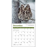 Owls 2027 Mini Calendar