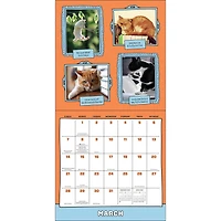 Cats Are Cheaper Than Therapy 2027 Wall Calendar