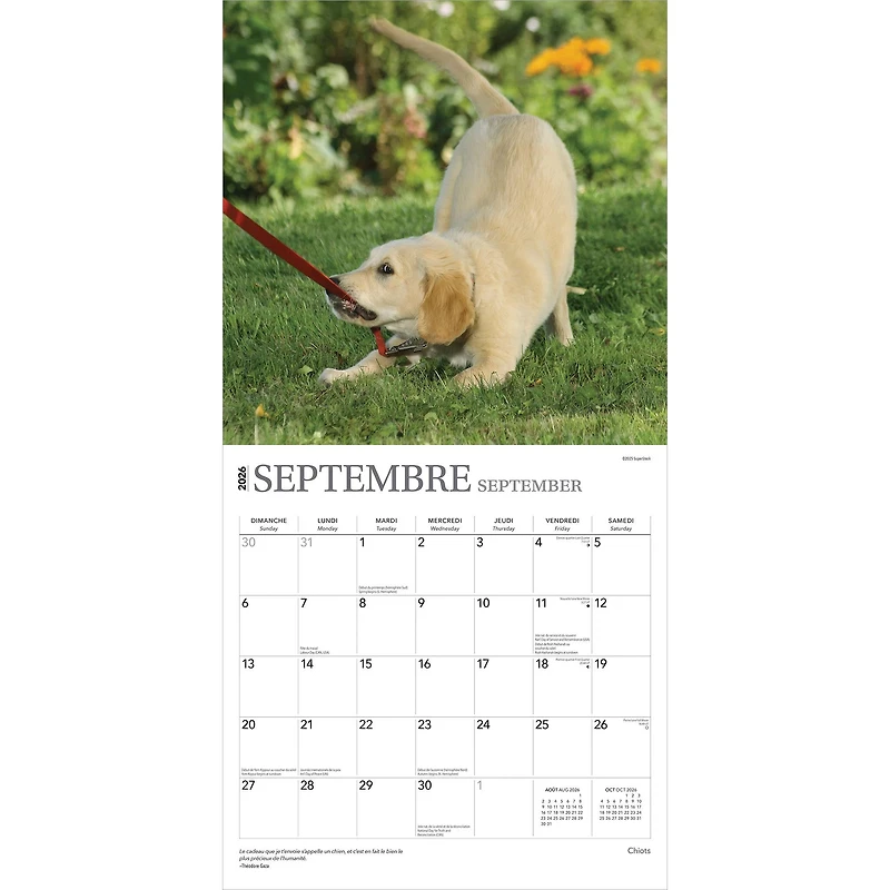 Chiots 2026 Calendrier de 12 Mois (French)