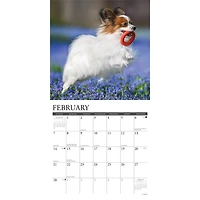 Papillons 2027 Wall Calendar