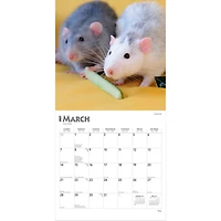 Rats 2027 Wall Calendar