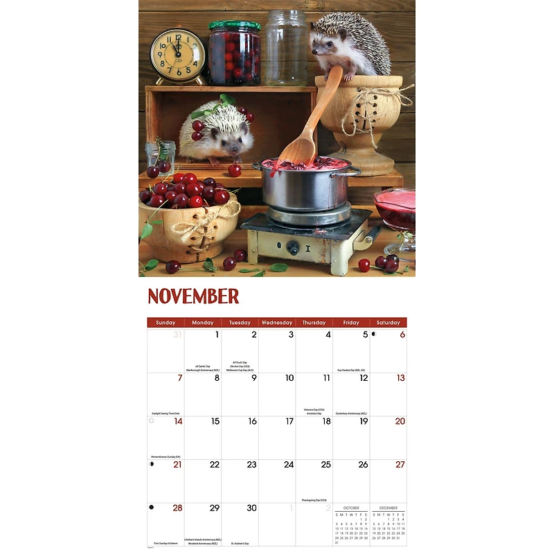 Hedgehogs! 2027 Wall Calendar