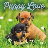 Puppy Love 2026 Wall Calendar