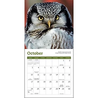 Owls 2027 Mini Calendar