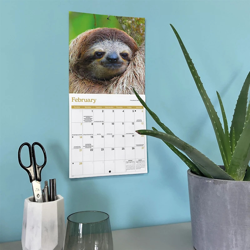 Sloths 2027 Mini Calendar