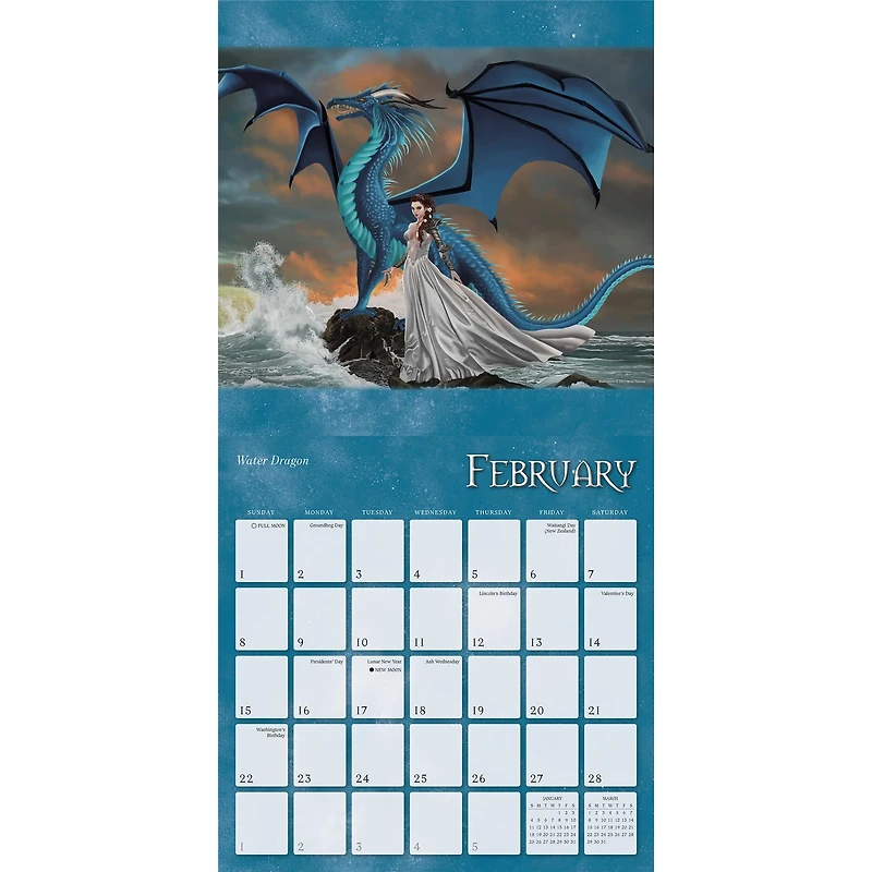 Dragon Witches 2026 Wall Calendar