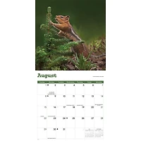 Squirrels 2027 Wall Calendar