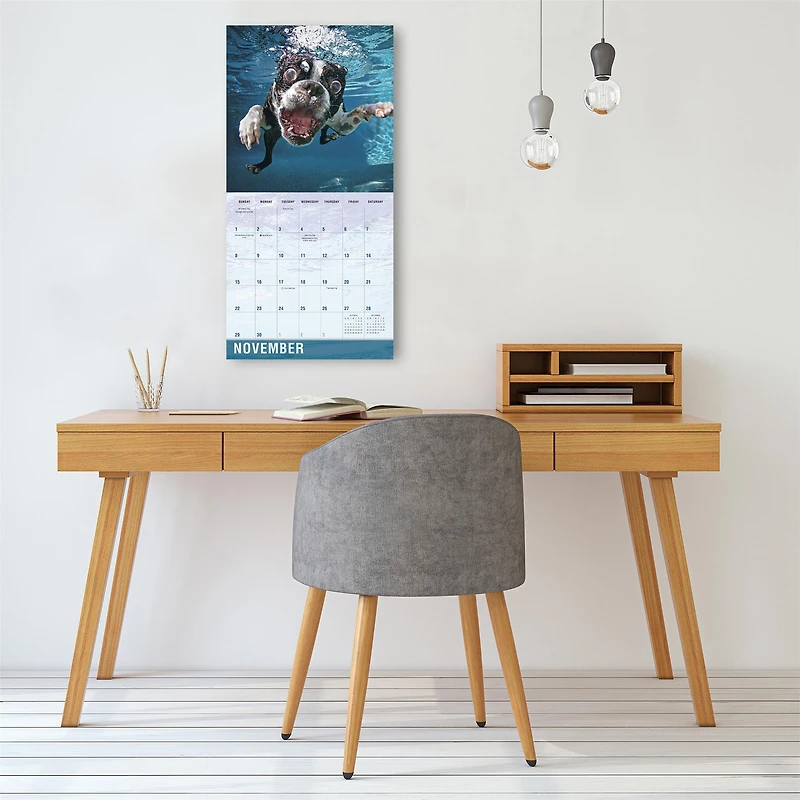 Underwater Dogs 2026 Wall Calendar