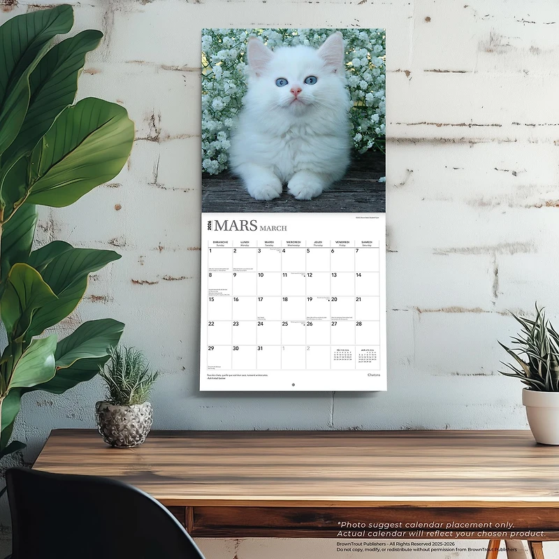 Chatons 2026 Wall Calendar (French)