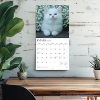Chatons 2026 Wall Calendar (French)