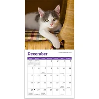 Cats 2027 Mini Calendar