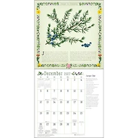 Kitchen Witch 2027 Wall Calendar - Online Only