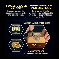 Mini Dig Fool's Gold National Geographic
