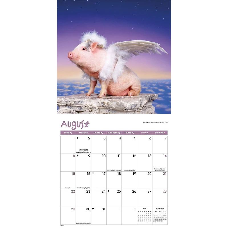 Playful Pigs 2027 Mini Calendar