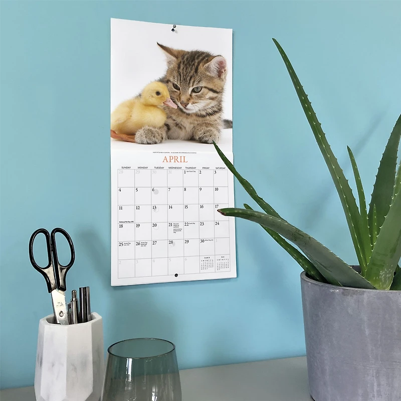 Kittens and Friends 2027 Mini Calendar