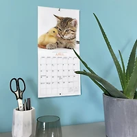 Kittens and Friends 2027 Mini Calendar